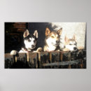 Suche nach huskies poster Sibirisch