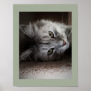 Suche nach katzenplakate poster Jede person
