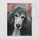 Suche nach standard postkarten Hund