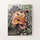 Suche nach wald puzzle Pilze