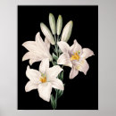 Suche nach schwarz weiße lilie poster Elegant
