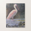 Suche nach spoonbill Rosa