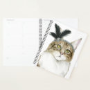 Suche nach die feder planer Katze