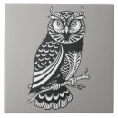 Suche nach zeichnen der eule haustier wohnen zuhause Illustration