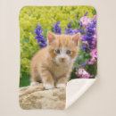 Suche nach lustiger tiger decken Niedlich