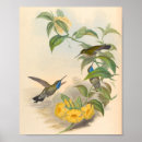 Suche nach vogel und blumen poster Blau