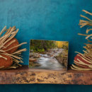 Suche nach laub fotoplatten Wald