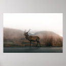 Suche nach reindeer poster Natur