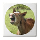 Suche nach fohlen fliesen Tier