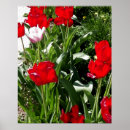 Suche nach tulpen kunst Familie