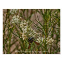 Suche nach sammler poster Natur