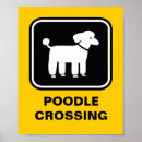 Suche nach pudel poster Tiere