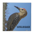 Suche nach südwesten fliesen Natur