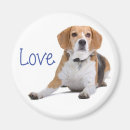 Suche nach beagle magnete Welpen