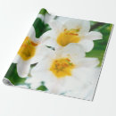 Suche nach weiße lilie geschenkpapier Für alle