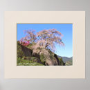 Suche nach japanischer kirschbaum poster Für alle