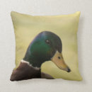 Suche nach stockenten kissen Für alle