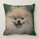 Suche nach zunge kissen Bob und pam langrish