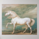 Suche nach cheval poster Pferd