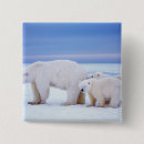 Suche nach fleischfresser buttons Schnee