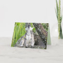 Suche nach lemur karten Foto
