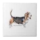 Suche nach basset fliesen Welpen
