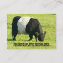 Suche nach galloway Kuh