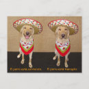 Suche nach pet postkarten Hund