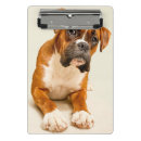 Suche nach kamera klemmbrett Farbbild