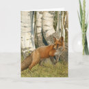 Suche nach roter fuchs karten Jede person