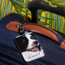 Suche nach border collie gepäckanhänger Schwarz weiß
