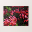 Suche nach fuchsie puzzle Rosa