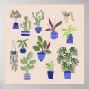 Suche nach succulents poster Kakteen