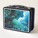 Suche nach schwimmen schwimmer brotdosen Für alle