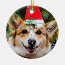 Suche nach weihnachtsspaß ornamente Für alle