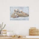 Suche nach arktis poster Winter