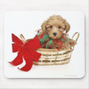 Suche nach schoßhund mousepads Ein tier