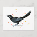Suche nach schwarzer vogel postkarten Tier