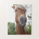 Suche nach lustiges pferd puzzle Tier