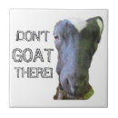 Suche nach wortspiel fliesen Lustig