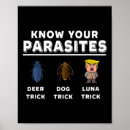 Suche nach parasit poster Meinung