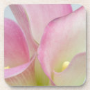 Suche nach calla lilien untersetzer Blüte