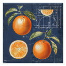 Suche nach fruits poster Nahrung