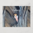 Suche nach schutzengel postkarten Vormund