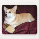 Suche nach schauend mousepads Hund
