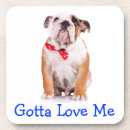 Suche nach bulldogge mit untersetzer Welpe