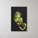 Suche nach madagaskar leinwandbilder Reptilien