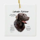 Suche nach schokolade labrador retriever weihnachtsschmuck Schokoladenlabrador