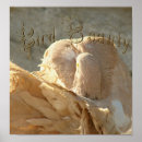 Suche nach taube poster Fotografie