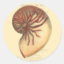 Suche nach vintage muschel aufkleber Küstenlinie